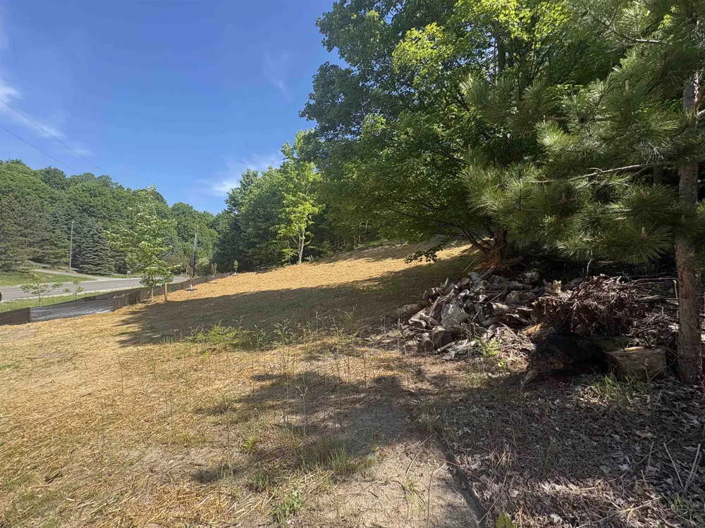 9394 E Hoxie Road Elmwood Charter Township, MI 49621