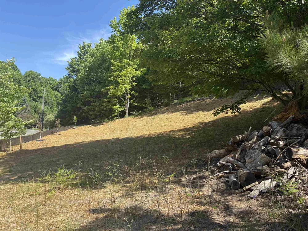 9394 E Hoxie Road Elmwood Charter Township, MI 49621