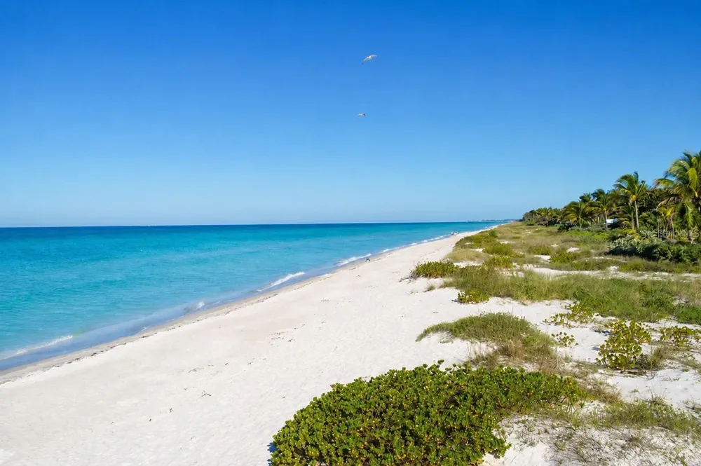 540 NEPTUNE AVENUE #7 Longboat Key, FL 34228