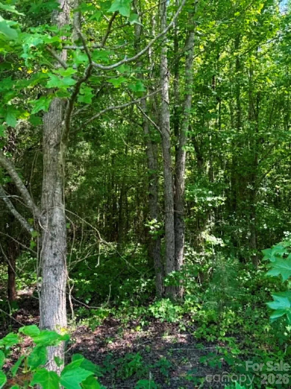 0 Old Salisbury Road Richfield, NC 28137