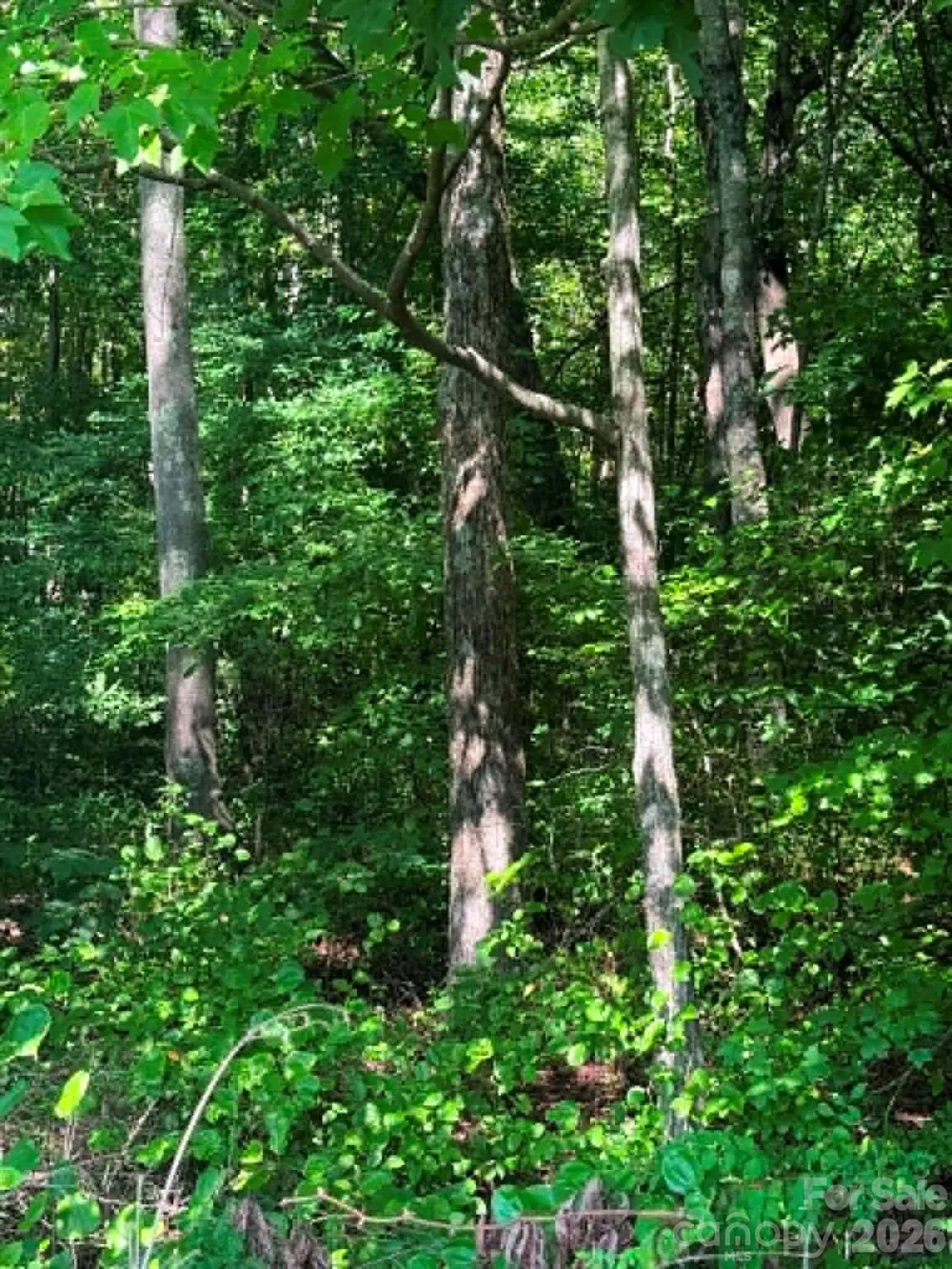 0 Old Salisbury Road Richfield, NC 28137
