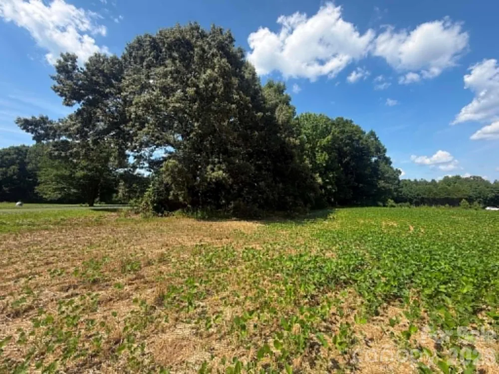 0 Old Salisbury Road Richfield, NC 28137