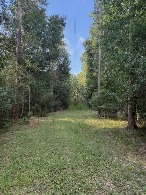 25571 Kimbro Road Hockley, TX 77447