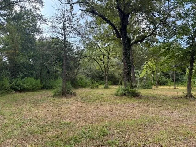 25571 Kimbro Road Hockley, TX 77447