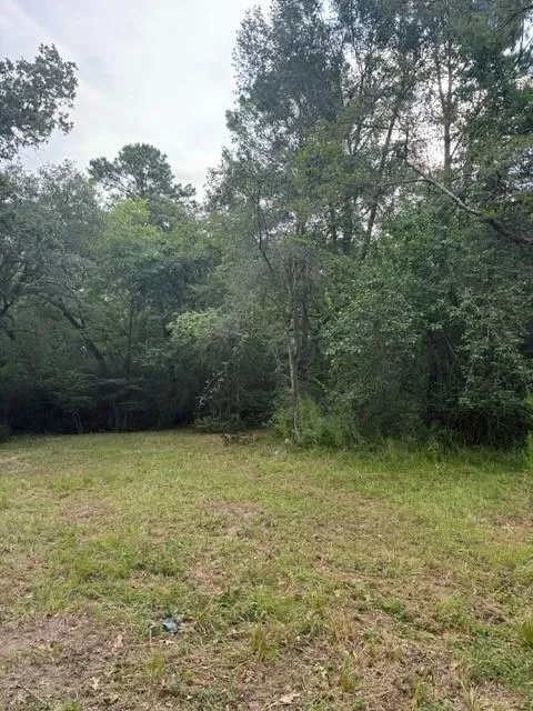 25571 Kimbro Road Hockley, TX 77447