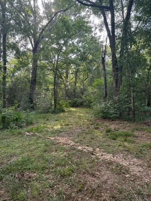 25571 Kimbro Road Hockley, TX 77447