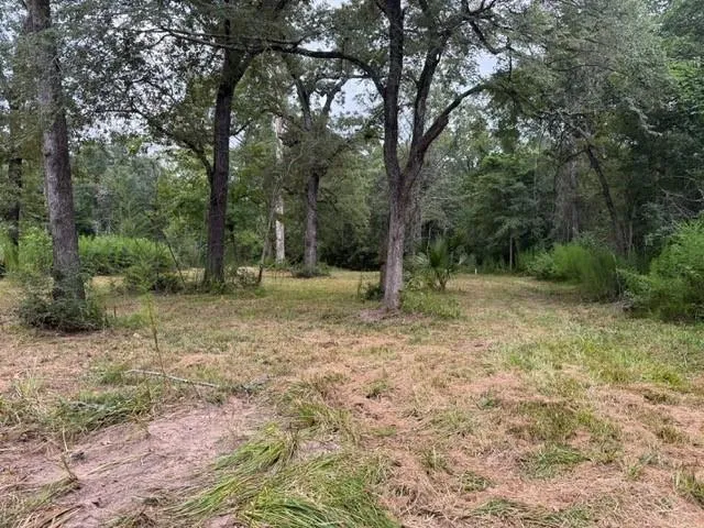25571 Kimbro Road Hockley, TX 77447