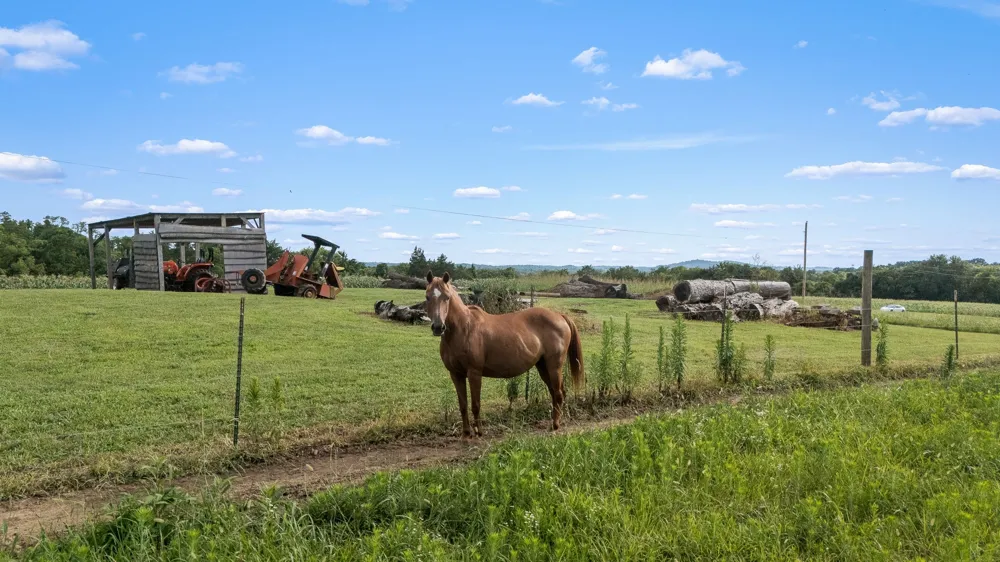 104 Hickerson Rd Wartrace, TN 37183