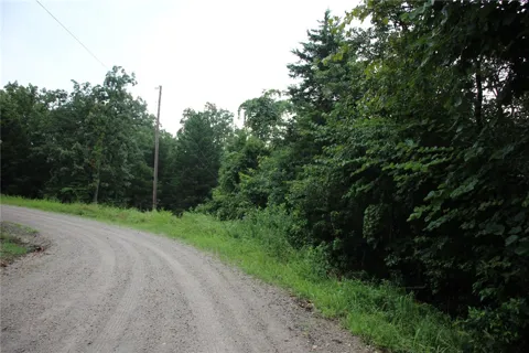1 Green Forest Trail