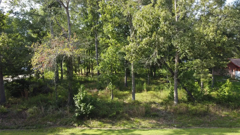 9 Sweetgum Drive Woodbranch, TX 77357