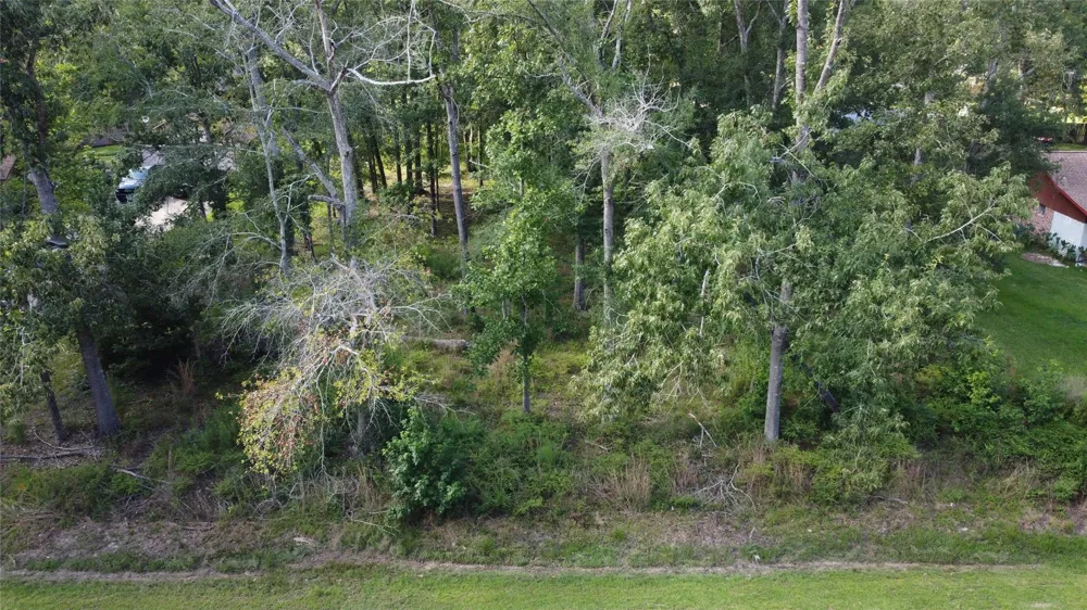 9 Sweetgum Drive Woodbranch, TX 77357