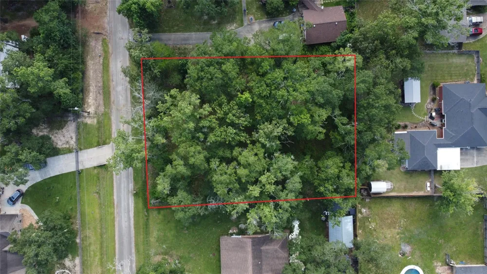 9 Sweetgum Drive Woodbranch, TX 77357