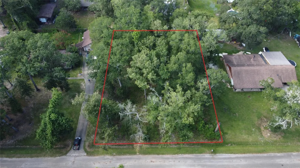 9 Sweetgum Drive Woodbranch, TX 77357
