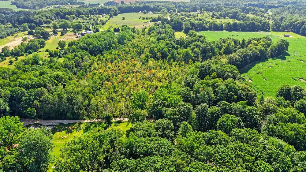 E Woodland Drive Six Lakes, MI 48886