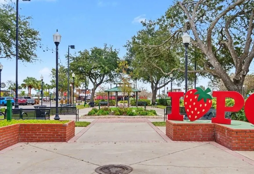 3919 VINO TINTO PLACE Plant City, FL 33565