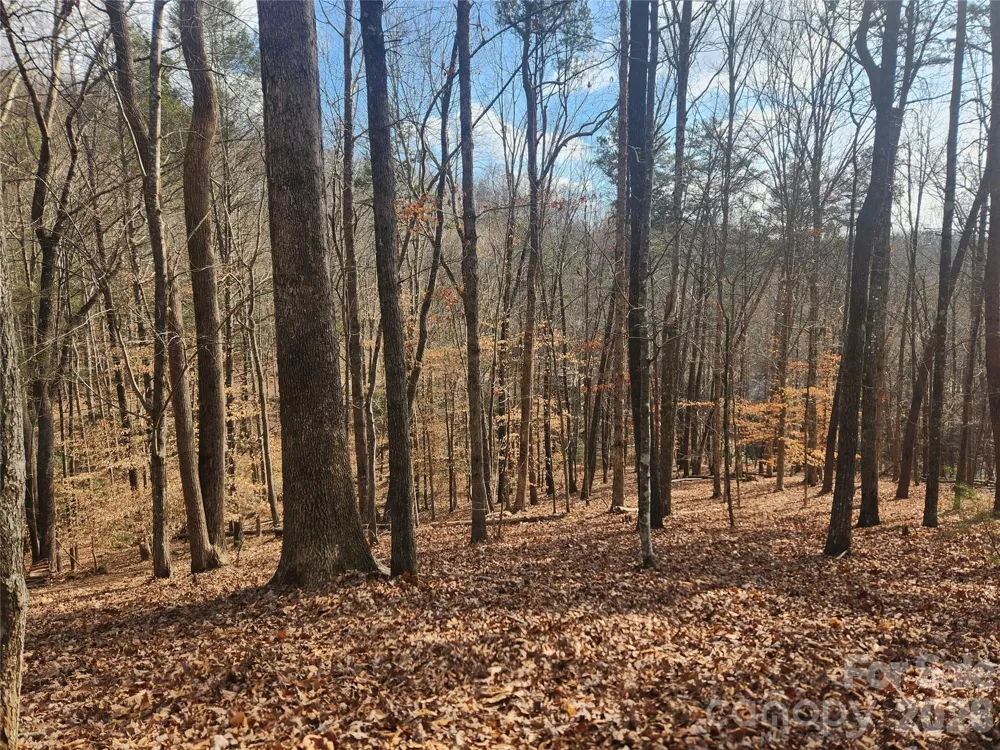 Lot 83 Walnut Lane Lake Lure, NC 28746