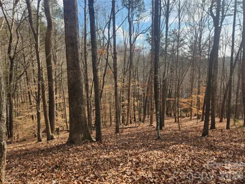 Lot 83 Walnut Lane