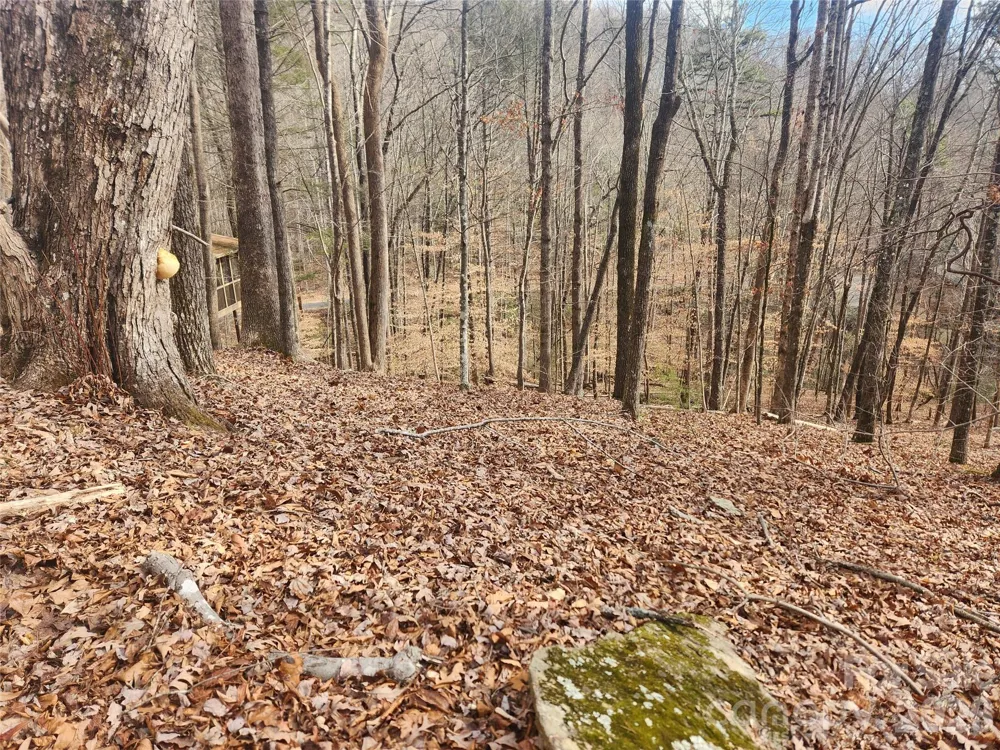 Lot 83 Walnut Lane Lake Lure, NC 28746