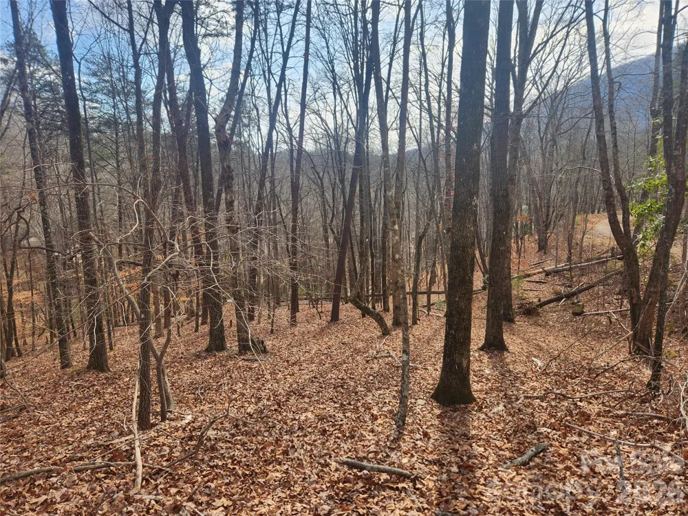 Lot 83 Walnut Lane Lake Lure, NC 28746