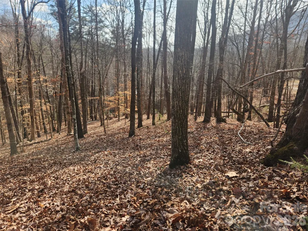 Lot 83 Walnut Lane Lake Lure, NC 28746