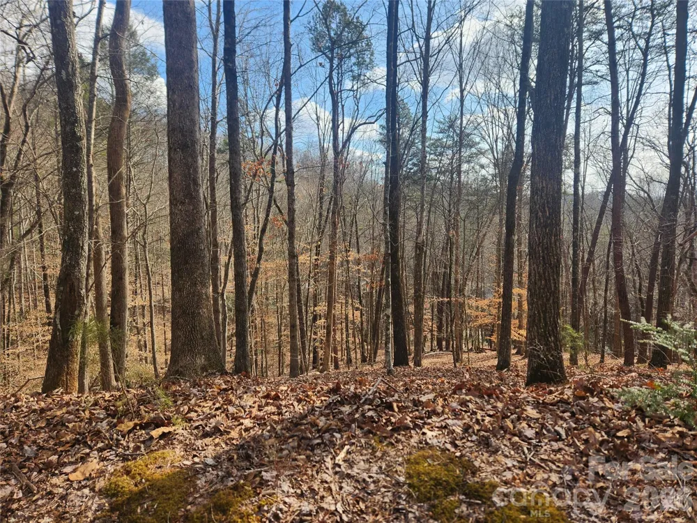 Lot 83 Walnut Lane Lake Lure, NC 28746