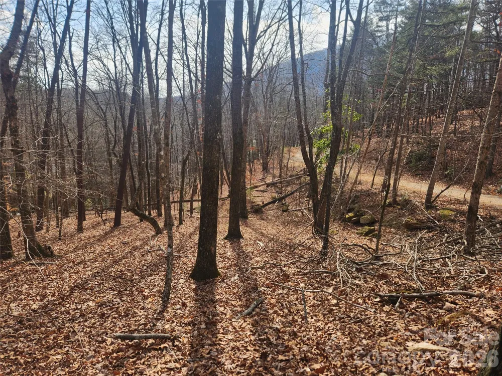 Lot 83 Walnut Lane Lake Lure, NC 28746