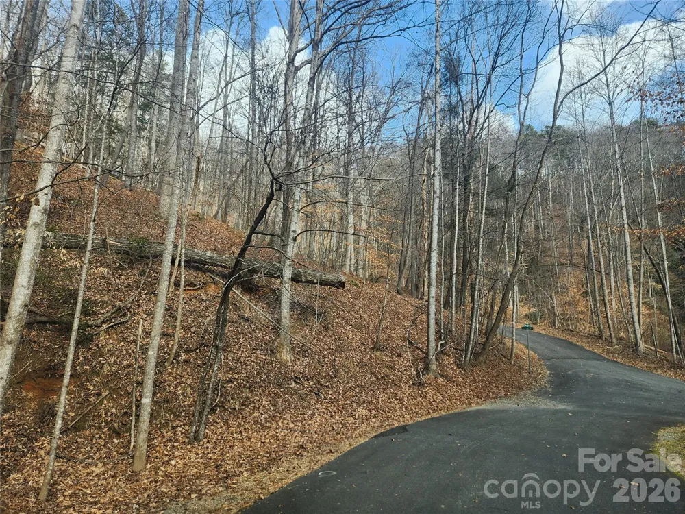 Lot 83 Walnut Lane Lake Lure, NC 28746