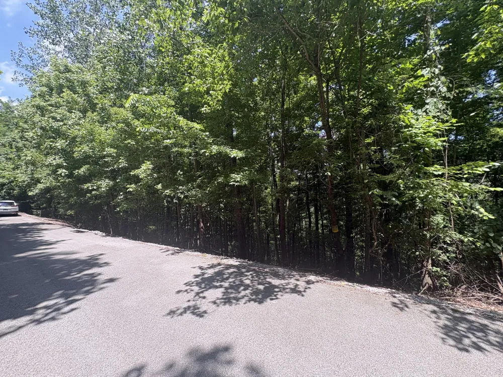 0 Center Hill Shores Dr Smithville, TN 37166