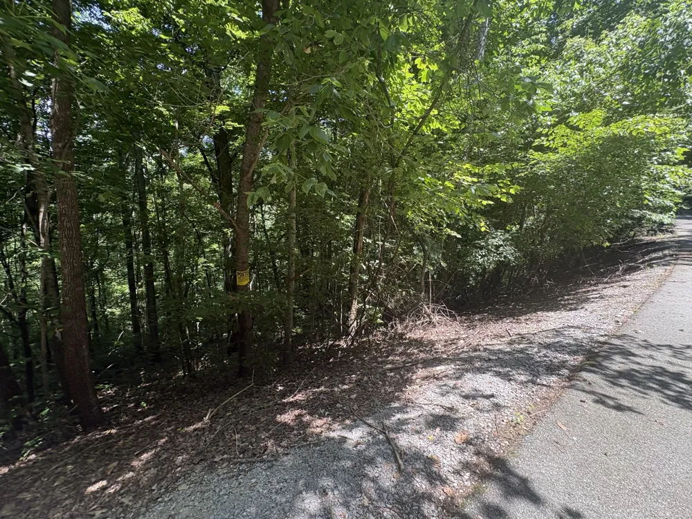 0 Center Hill Shores Dr Smithville, TN 37166
