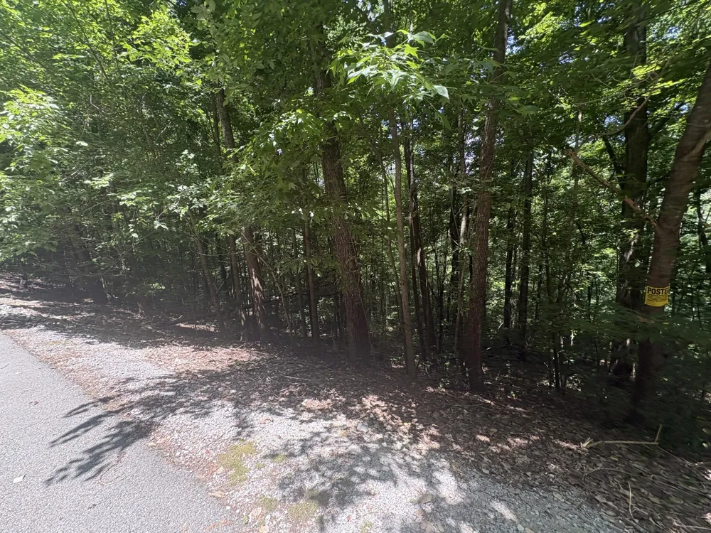 0 Center Hill Shores Dr Smithville, TN 37166
