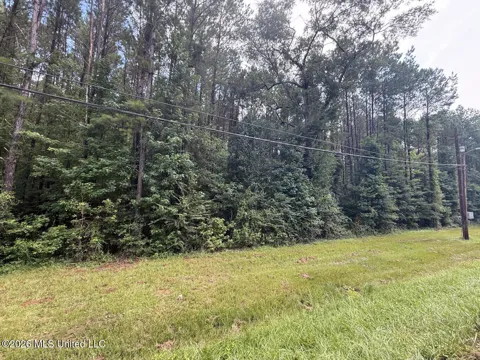 253 Red Dog Road