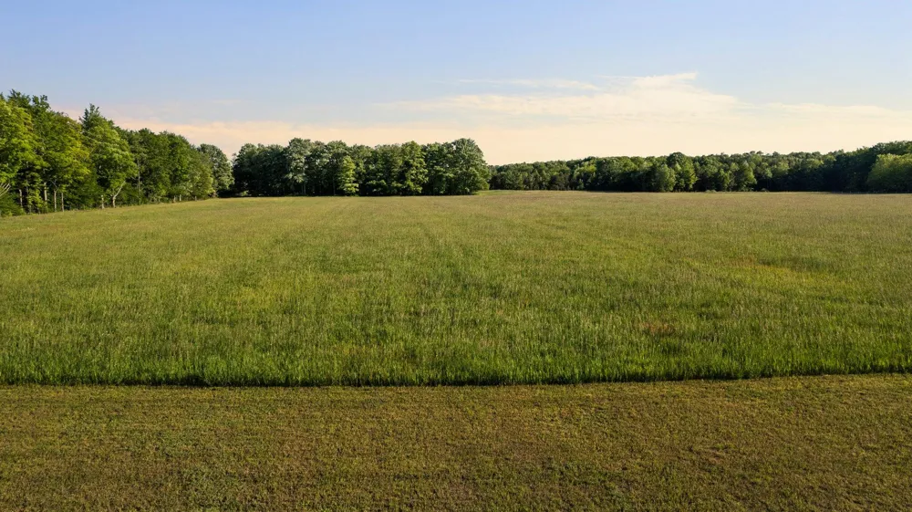 5859 Potter Road Bear Lake, MI 49614