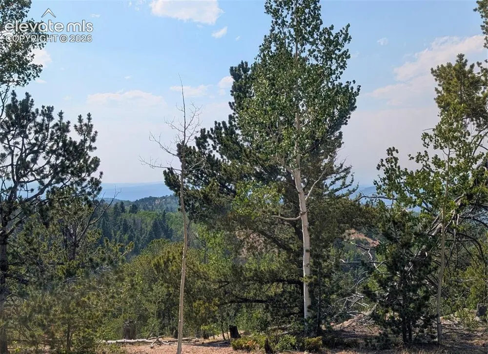 Fairview Drive Cripple Creek, CO 80813