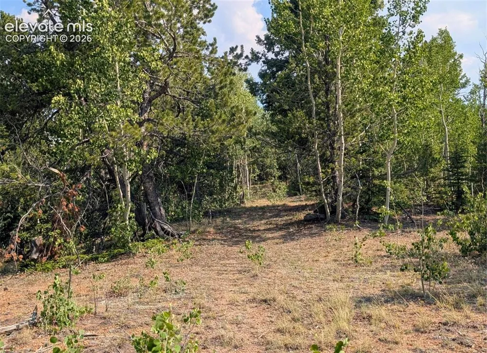 Fairview Drive Cripple Creek, CO 80813