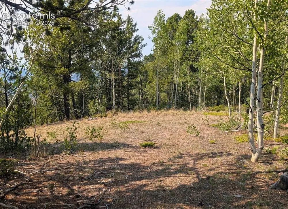 Fairview Drive Cripple Creek, CO 80813