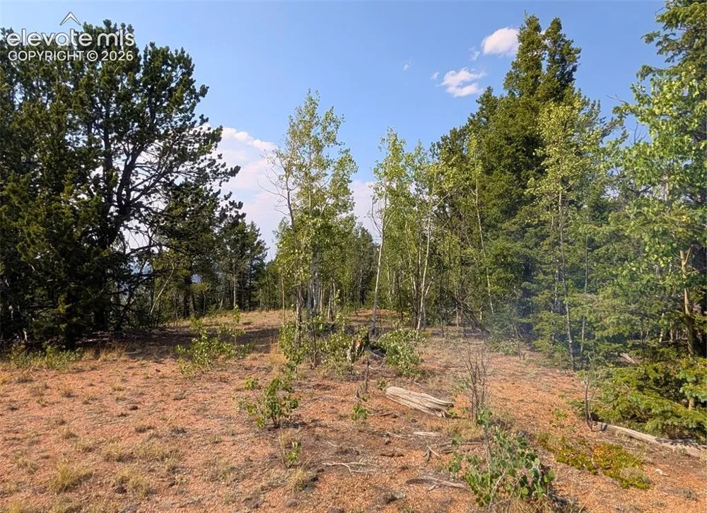 Fairview Drive Cripple Creek, CO 80813