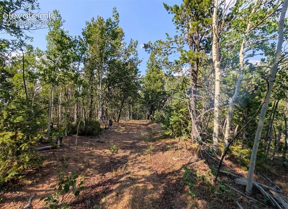 Fairview Drive Cripple Creek, CO 80813