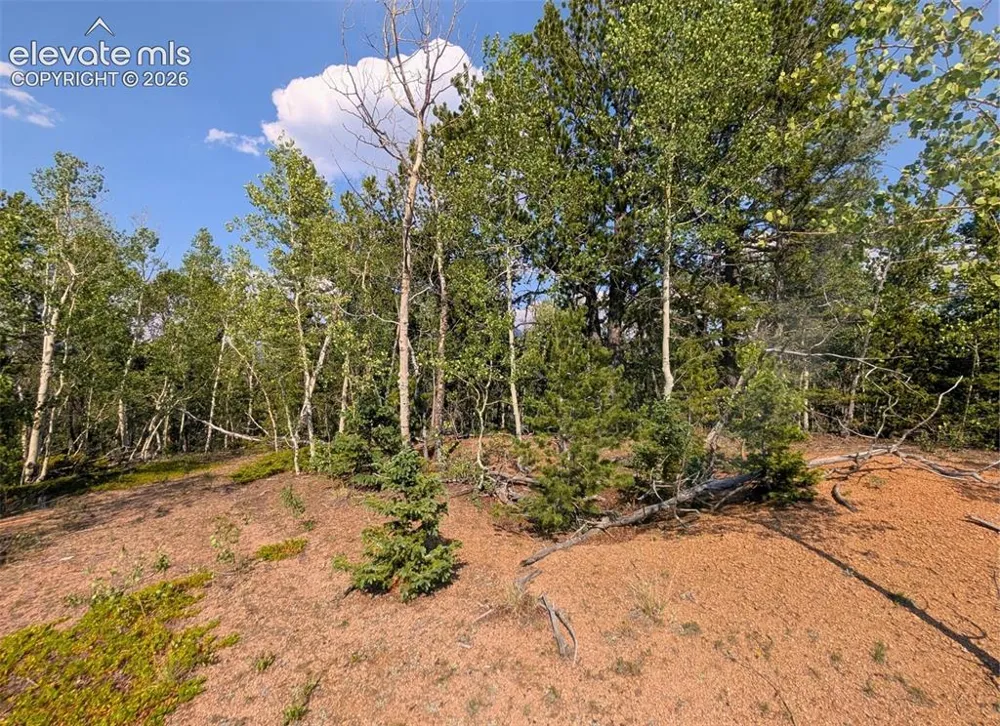 Fairview Drive Cripple Creek, CO 80813