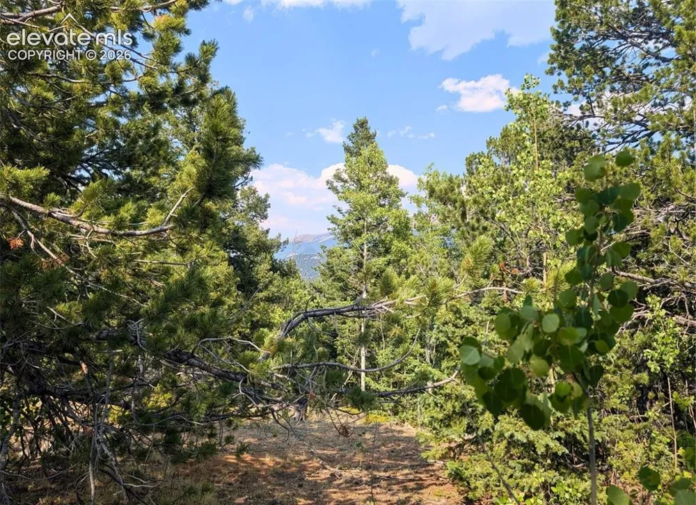 Fairview Drive Cripple Creek, CO 80813