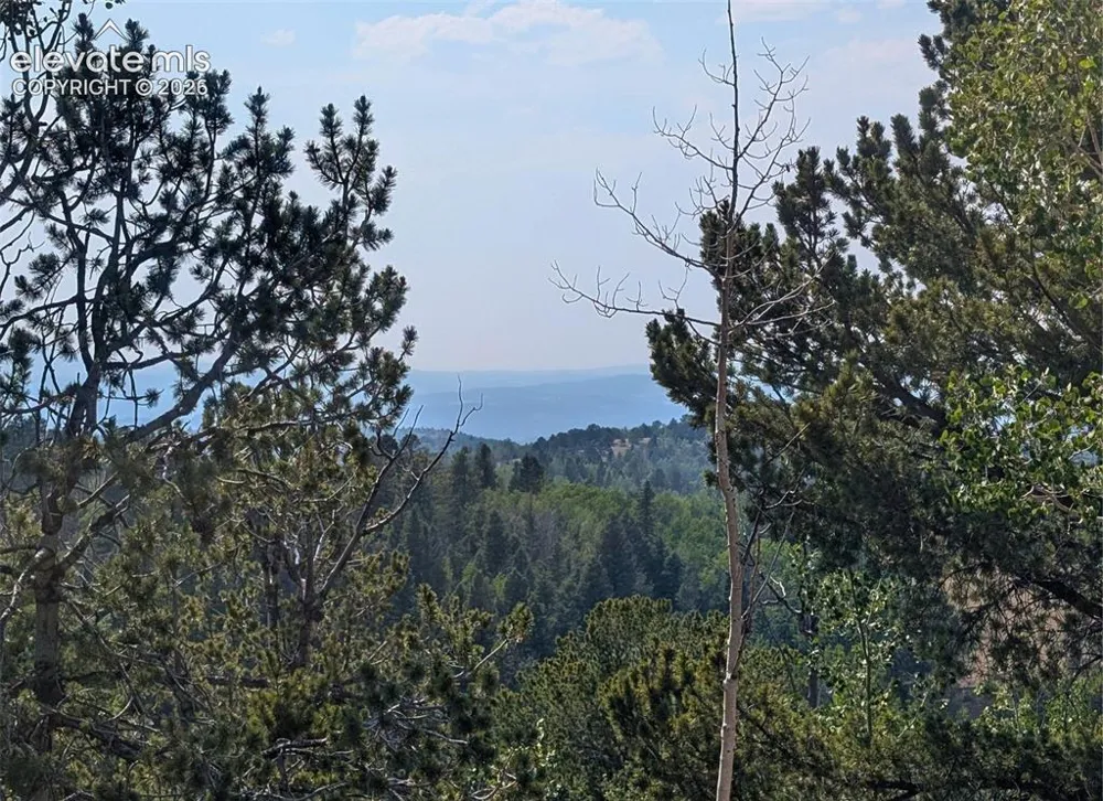 Fairview Drive Cripple Creek, CO 80813