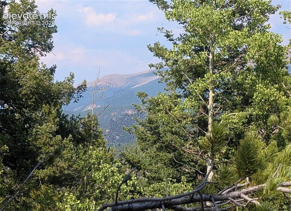 Fairview Drive Cripple Creek, CO 80813