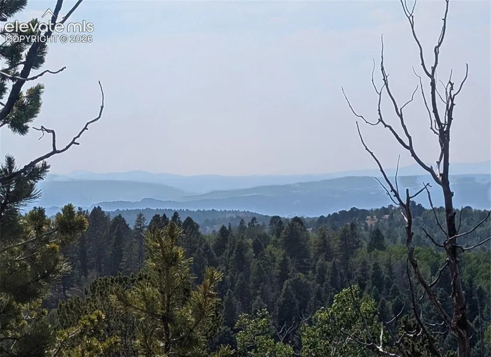 Fairview Drive Cripple Creek, CO 80813