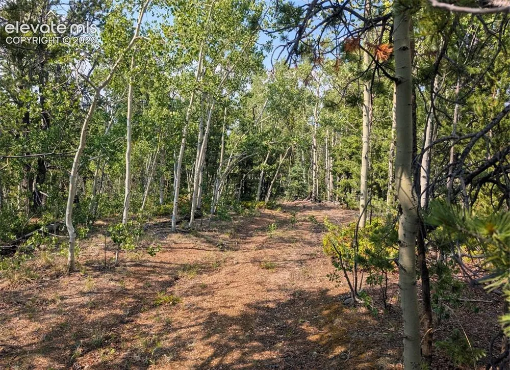Fairview Drive Cripple Creek, CO 80813