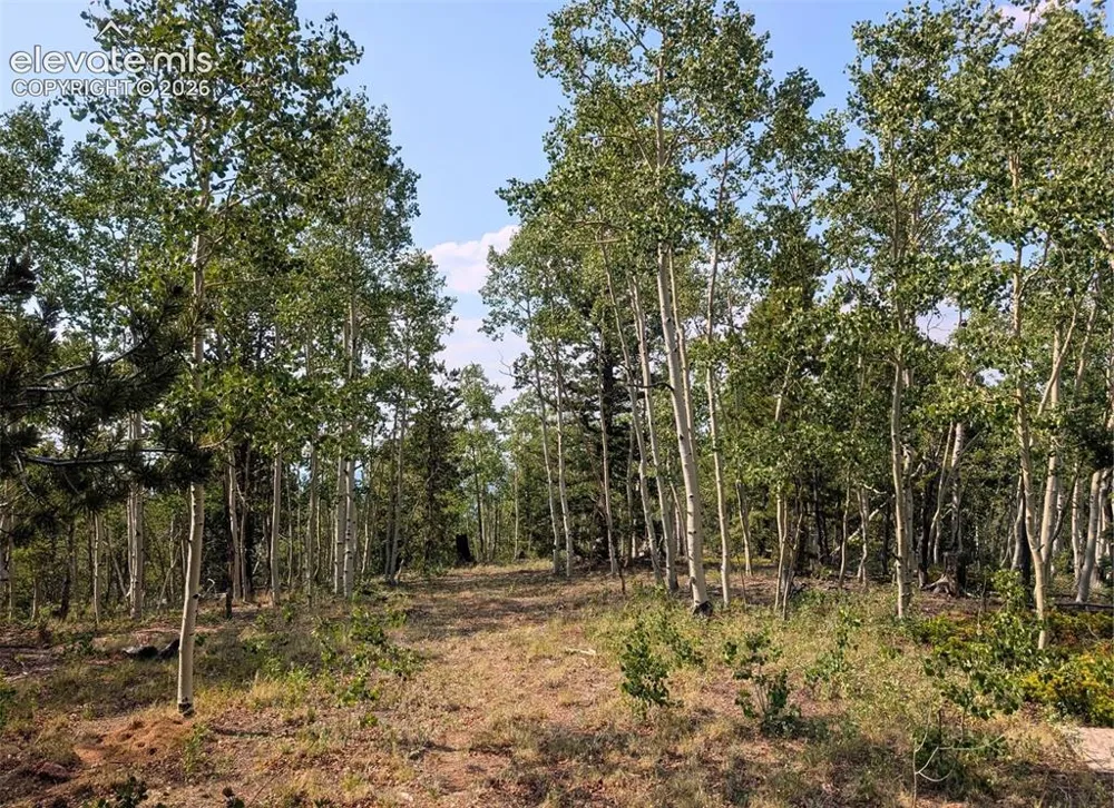 Fairview Drive Cripple Creek, CO 80813