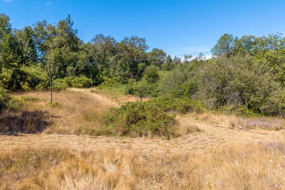 3151 Hearst Willits Road Willits, CA 95490