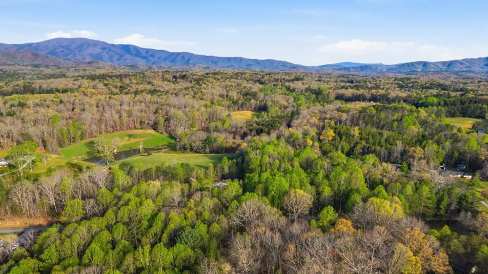 1843 Old Mobile Road McCaysville, GA 30555