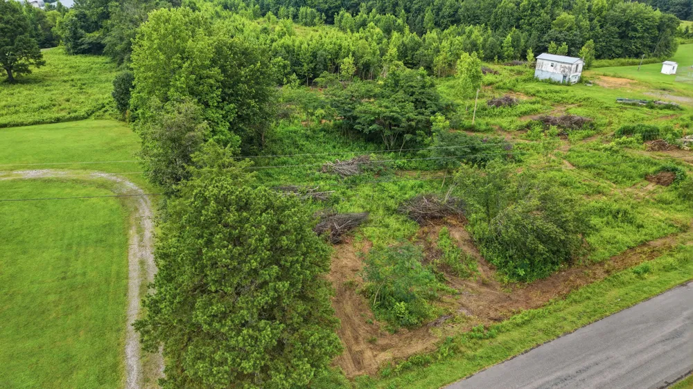 309 County Road 315 Bryant, AL 35958