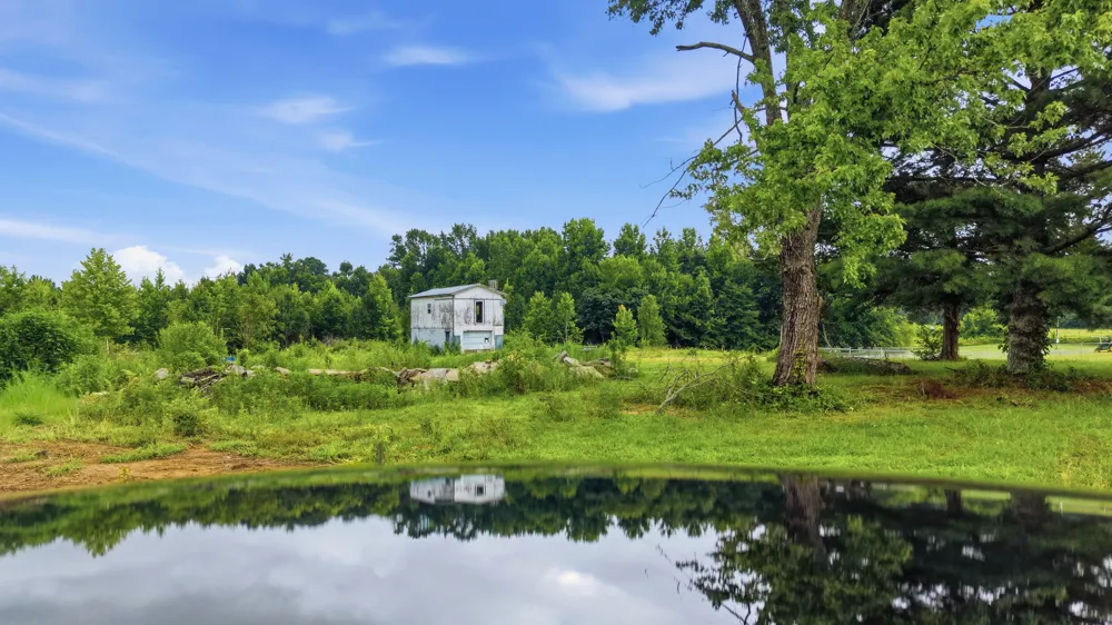 309 County Road 315 Bryant, AL 35958