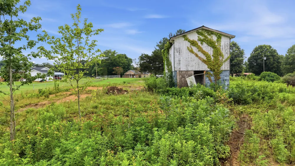 309 County Road 315 Bryant, AL 35958