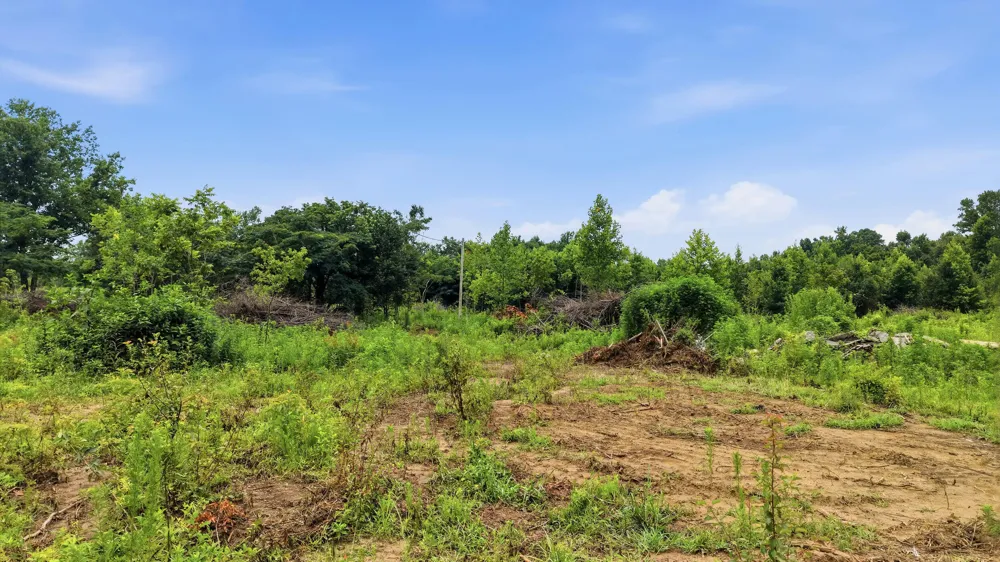309 County Road 315 Bryant, AL 35958